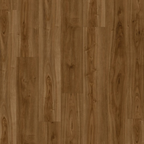 Clearwater - Saddle Oak